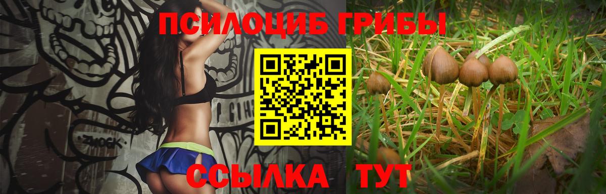 Галлюциногенные грибы Psilocybine cubensis  Вход с VPN  Касимов 